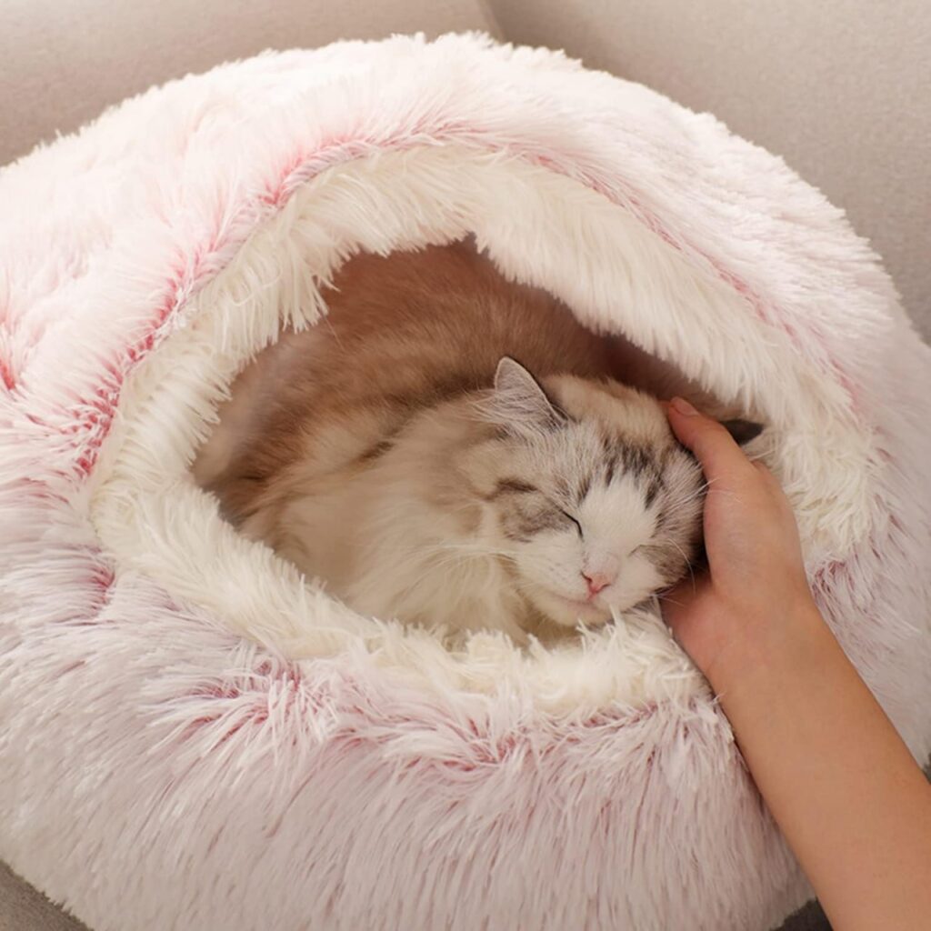 Gatto rilassato nella cuccia pelosa rosa